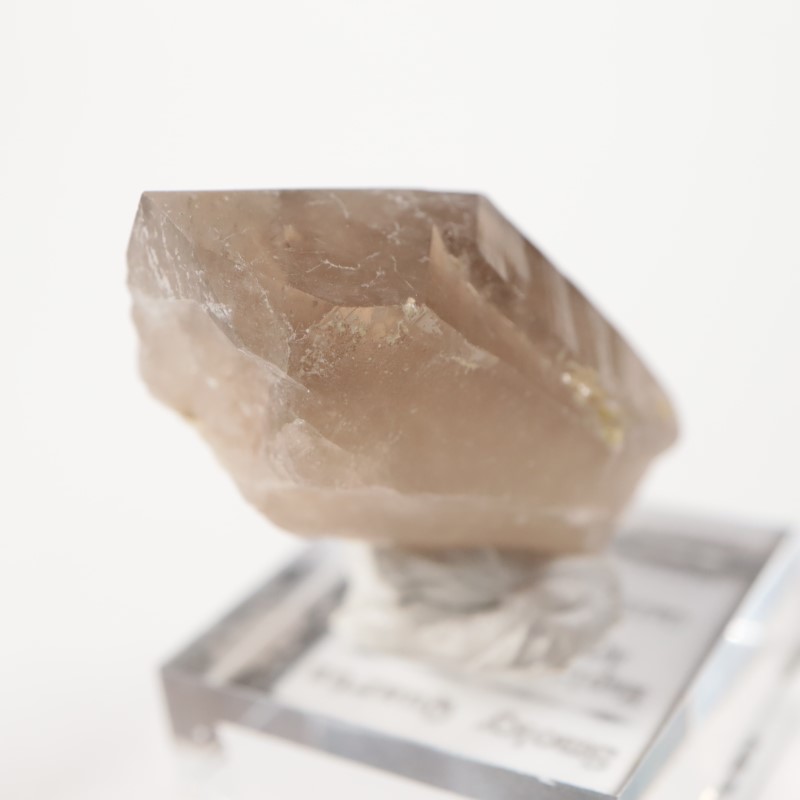 Maple Lode�ۻ�����徽