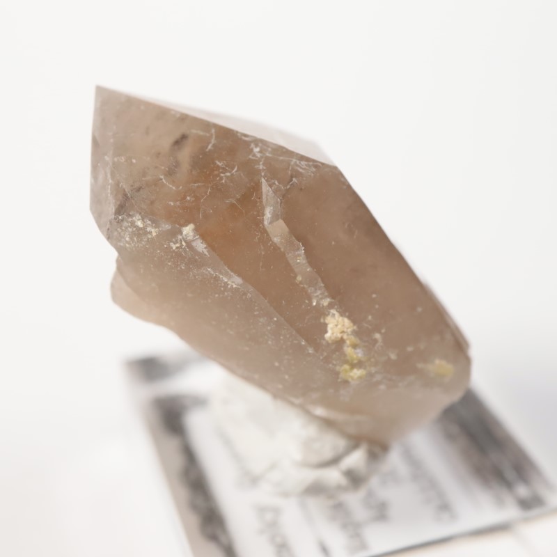 Maple Lode�ۻ�����徽