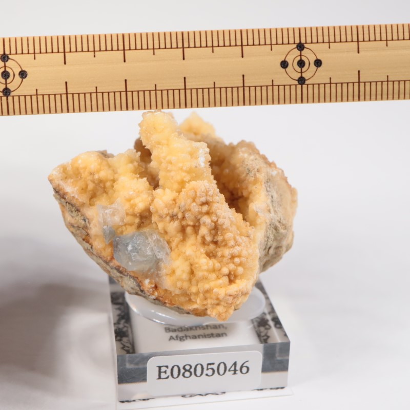 ���ե��˥����� ���쥹�ƥ���