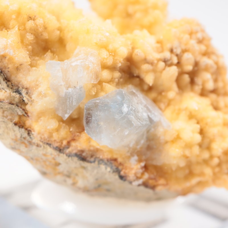 ���ե��˥����� ���쥹�ƥ���