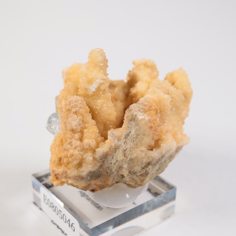 ���ե��˥����� ���쥹�ƥ���