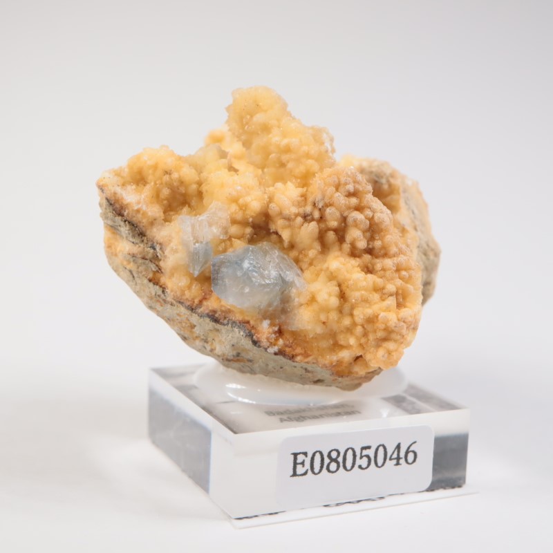 ���ե��˥����� ���쥹�ƥ���