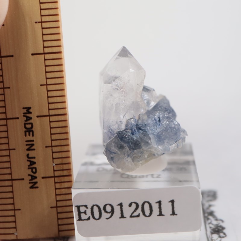 �֥饸�뻺 �ǥ�������饤��in��������