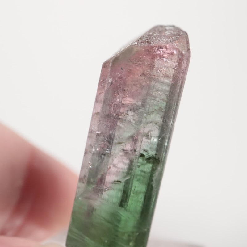 �֥饸�뻺 �ȥ�ޥ��