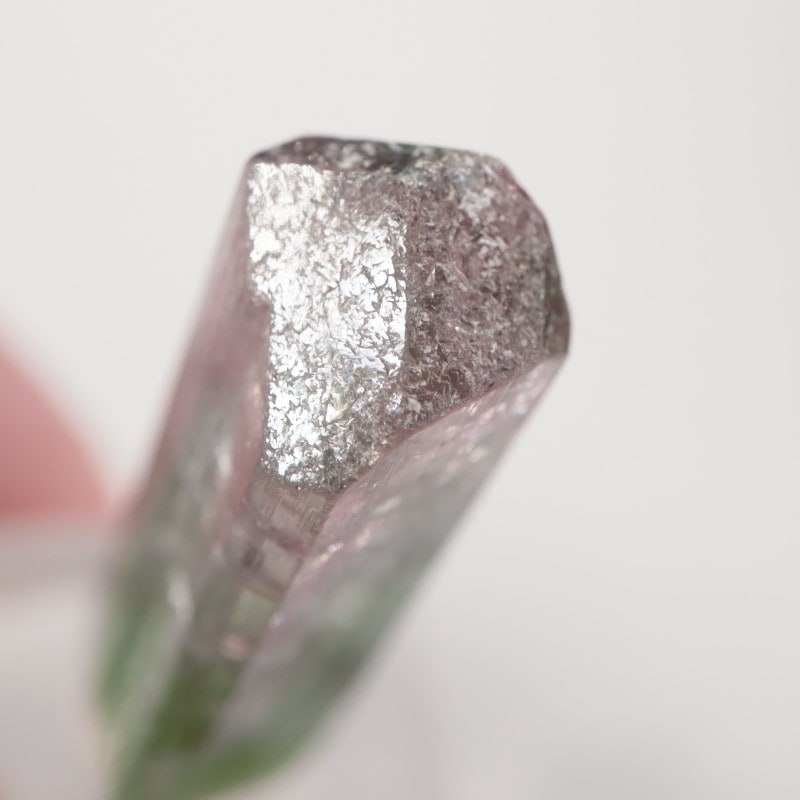 �֥饸�뻺 �ȥ�ޥ��