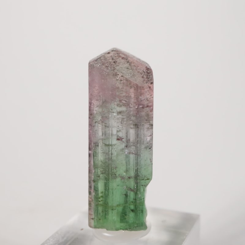 �֥饸�뻺 �ȥ�ޥ��