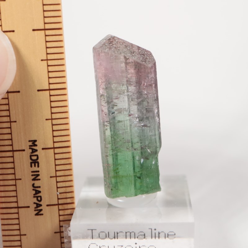 �֥饸�뻺 �ȥ�ޥ��