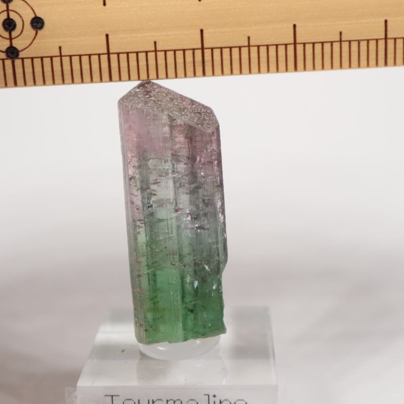 �֥饸�뻺 �ȥ�ޥ��