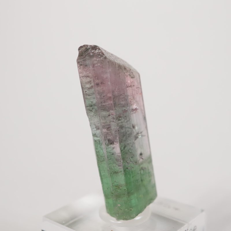 �֥饸�뻺 �ȥ�ޥ��