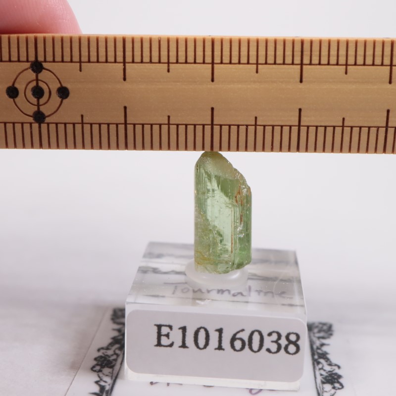 ���󥴻����ȥ�ޥ��