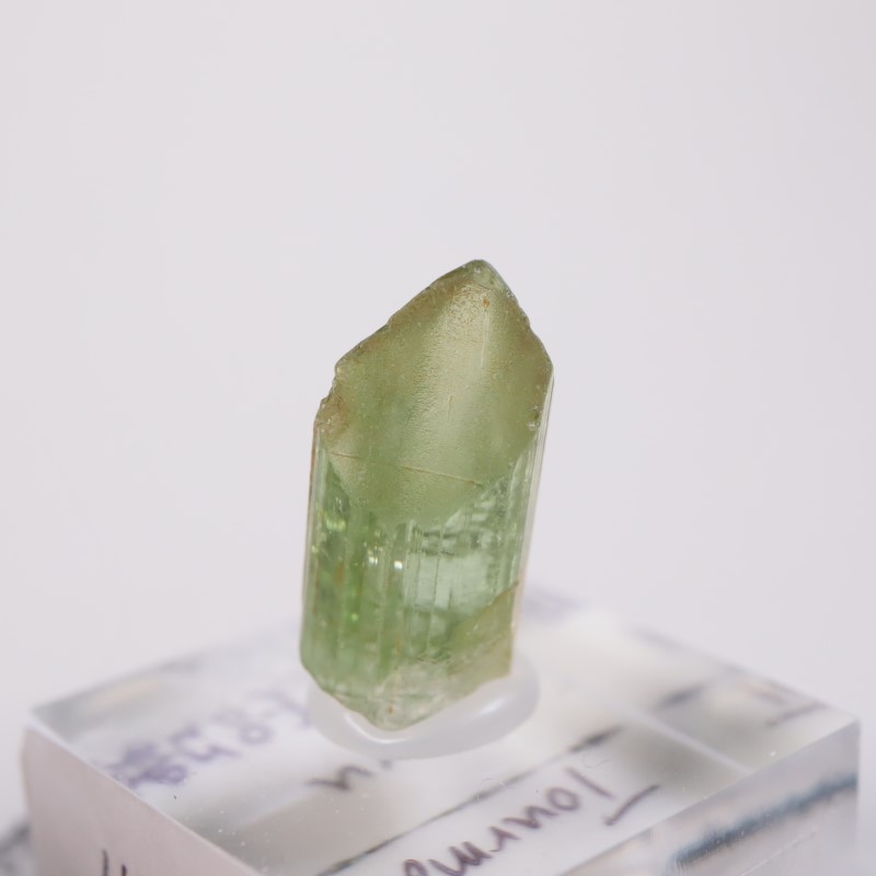 ���󥴻����ȥ�ޥ��