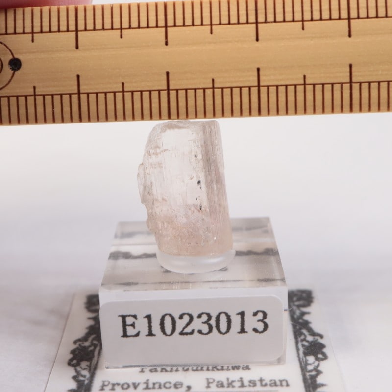 Katlang�����ȥѡ���