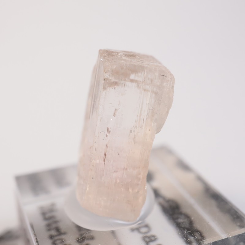 Katlang�����ȥѡ���