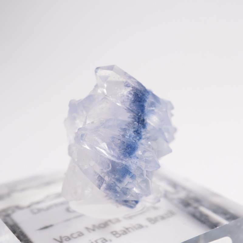 �֥饸�뻺 �ǥ�������饤�ȥ��󥯥�����