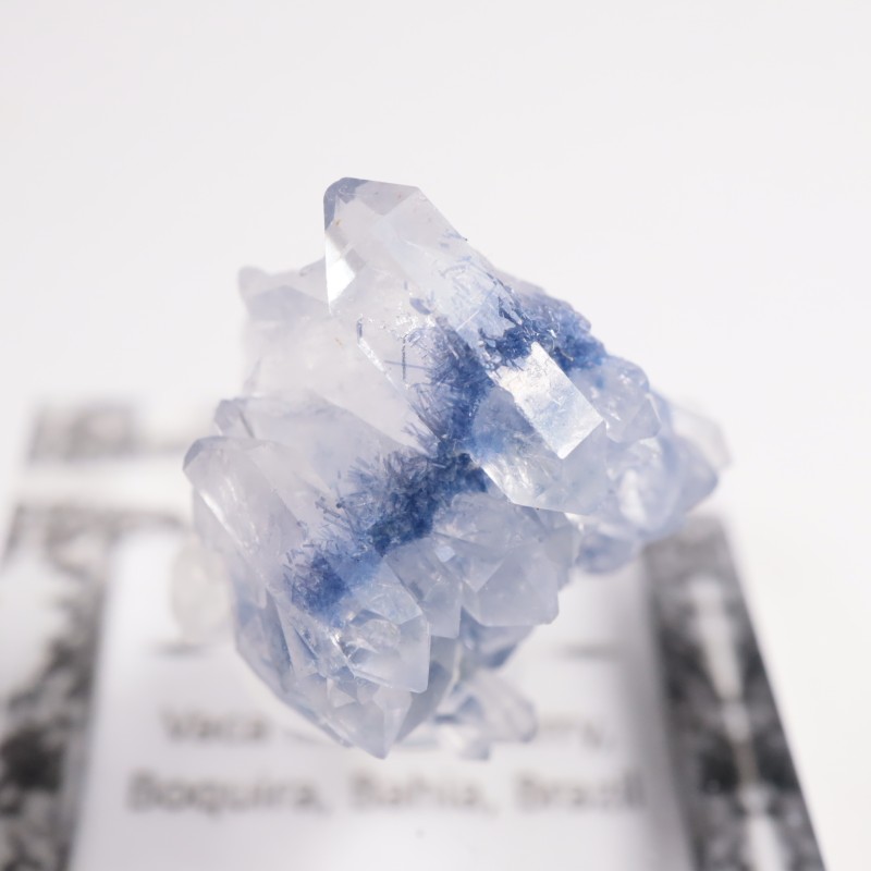 �֥饸�뻺 �ǥ�������饤�ȥ��󥯥�����