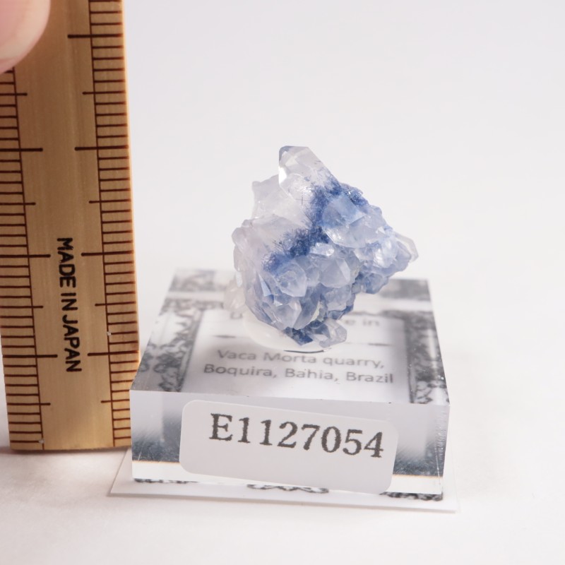 �֥饸�뻺 �ǥ�������饤�ȥ��󥯥�����