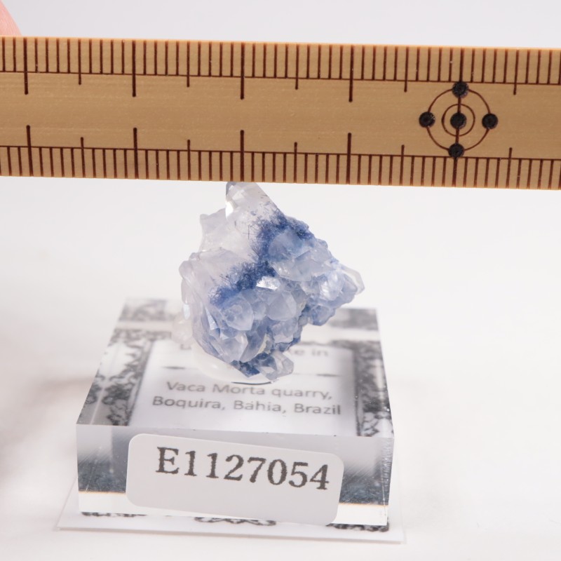 �֥饸�뻺 �ǥ�������饤�ȥ��󥯥�����