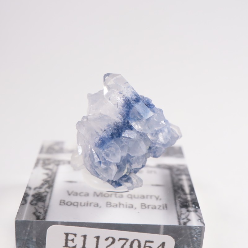 �֥饸�뻺 �ǥ�������饤�ȥ��󥯥�����