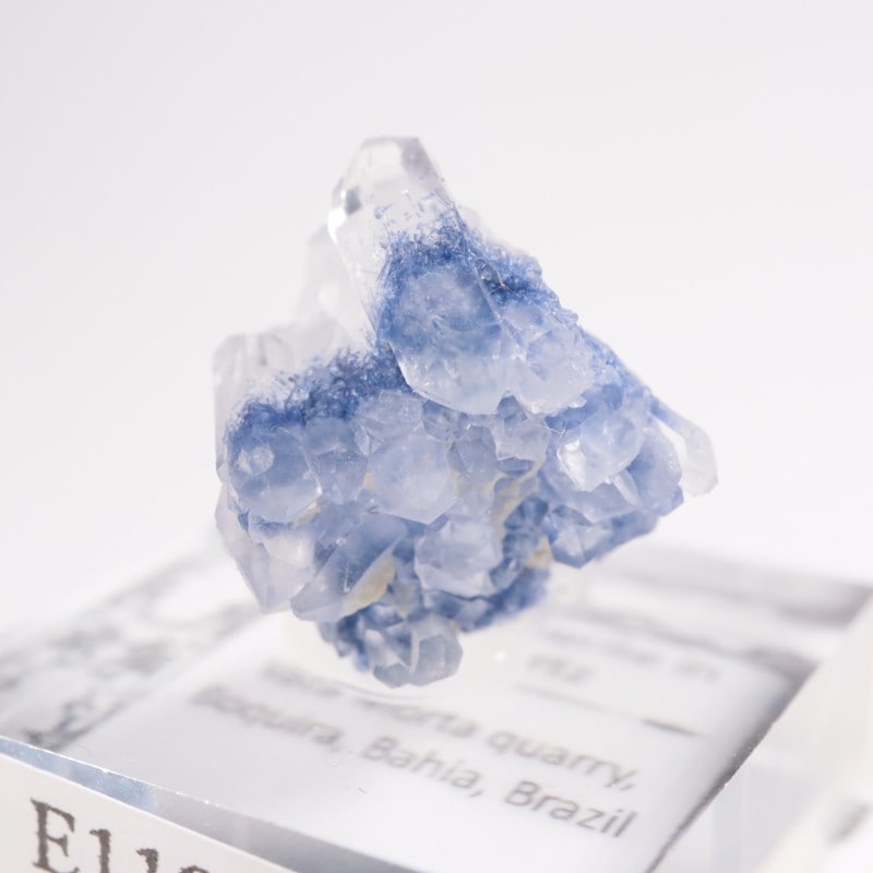 �֥饸�뻺 �ǥ�������饤�ȥ��󥯥�����