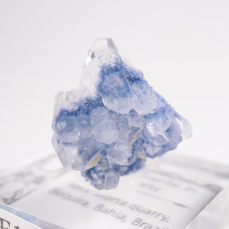 �֥饸�뻺 �ǥ�������饤�ȥ��󥯥�����