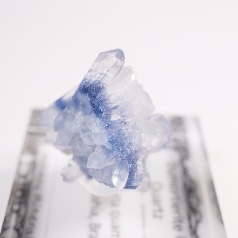 �֥饸�뻺 �ǥ�������饤�ȥ��󥯥�����