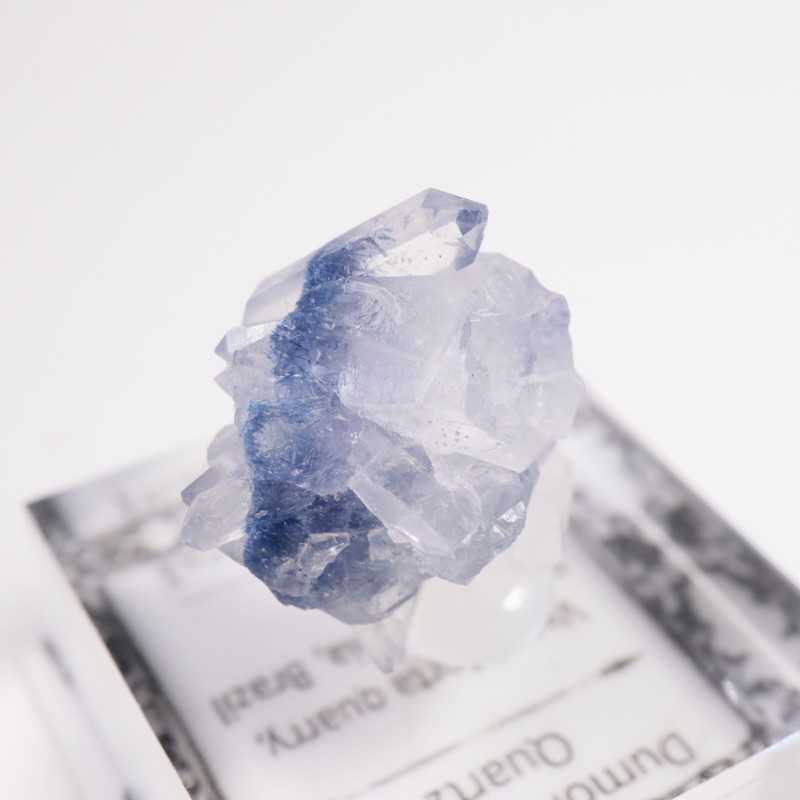 �֥饸�뻺 �ǥ�������饤�ȥ��󥯥�����