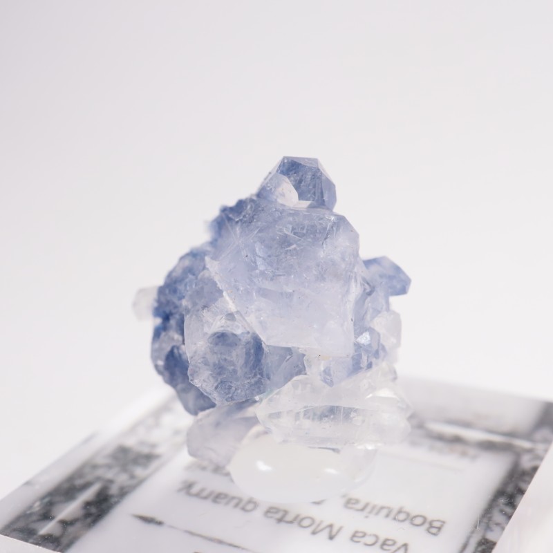 �֥饸�뻺 �ǥ�������饤�ȥ��󥯥�����