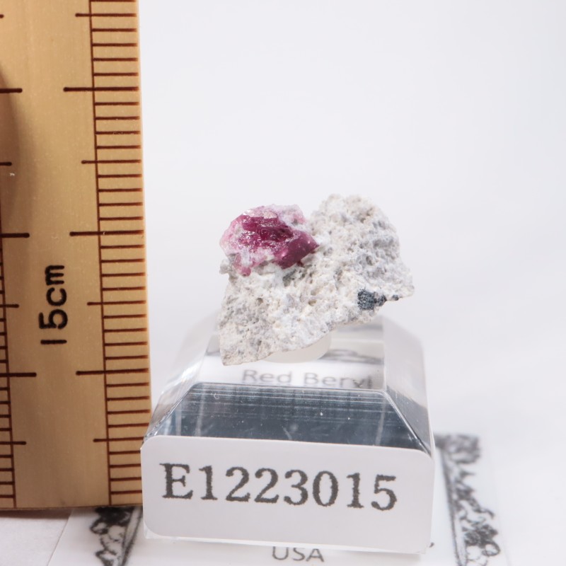 �楿���� ��åɥ٥��