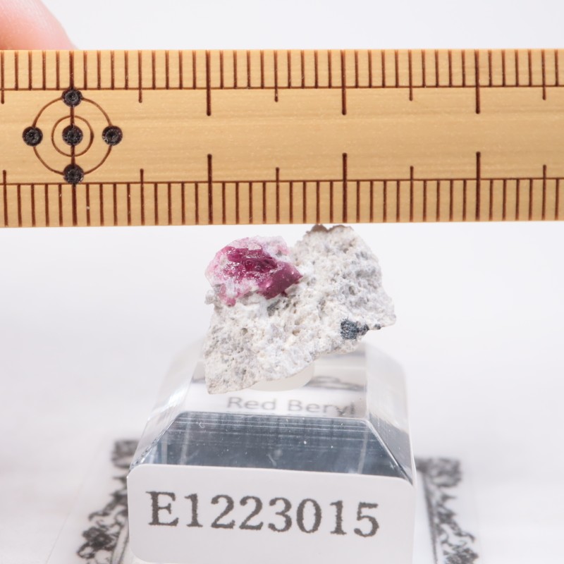 �楿���� ��åɥ٥��