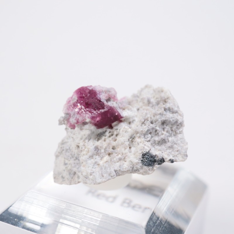 �楿���� ��åɥ٥��