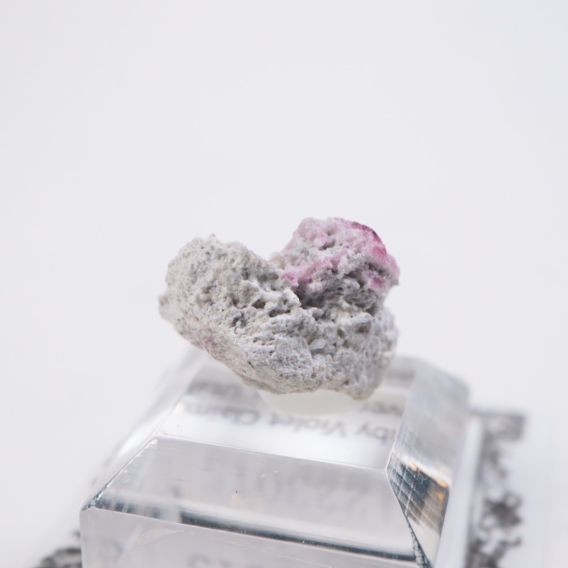 �楿���� ��åɥ٥��