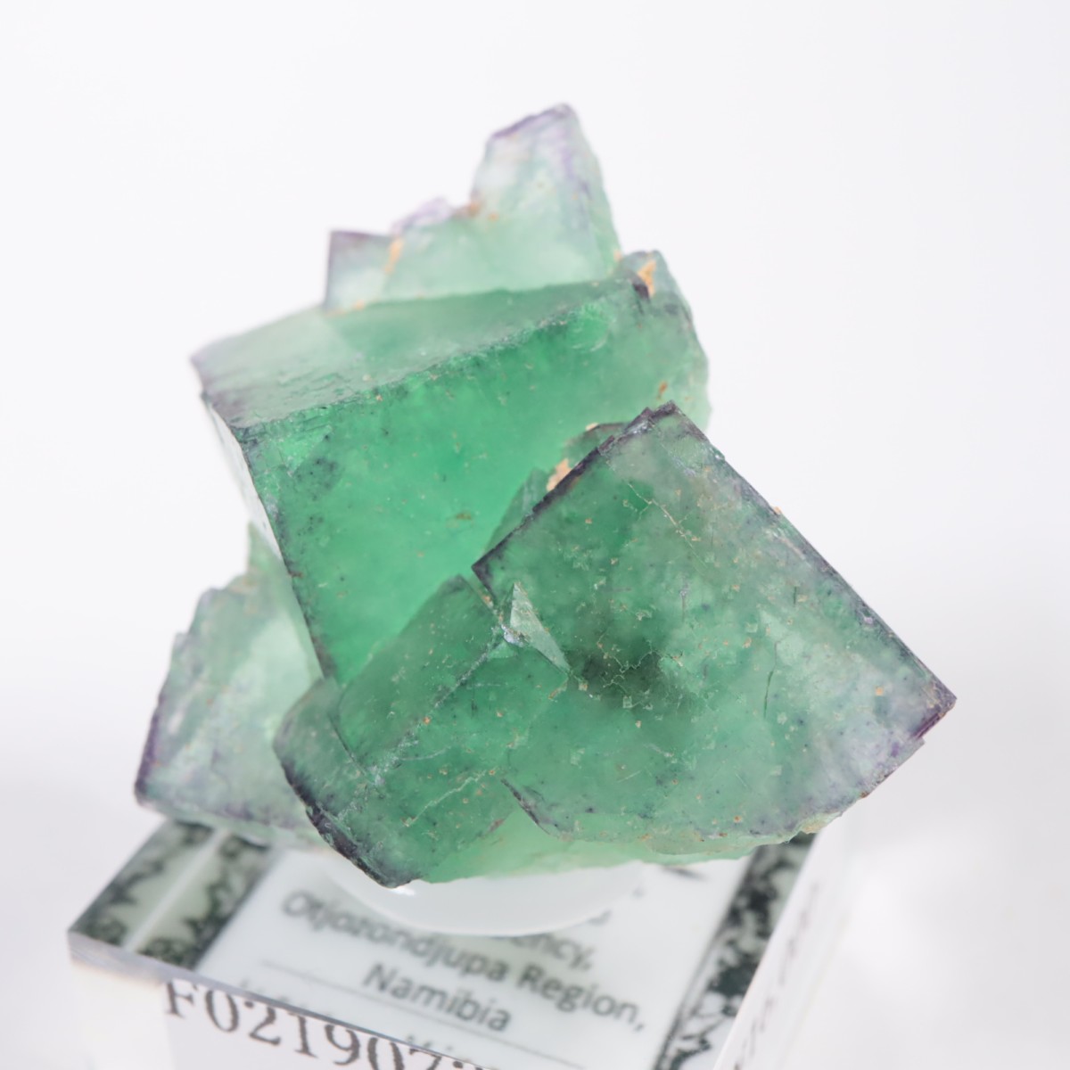 �����륹�ۻ��� �ե����饤��