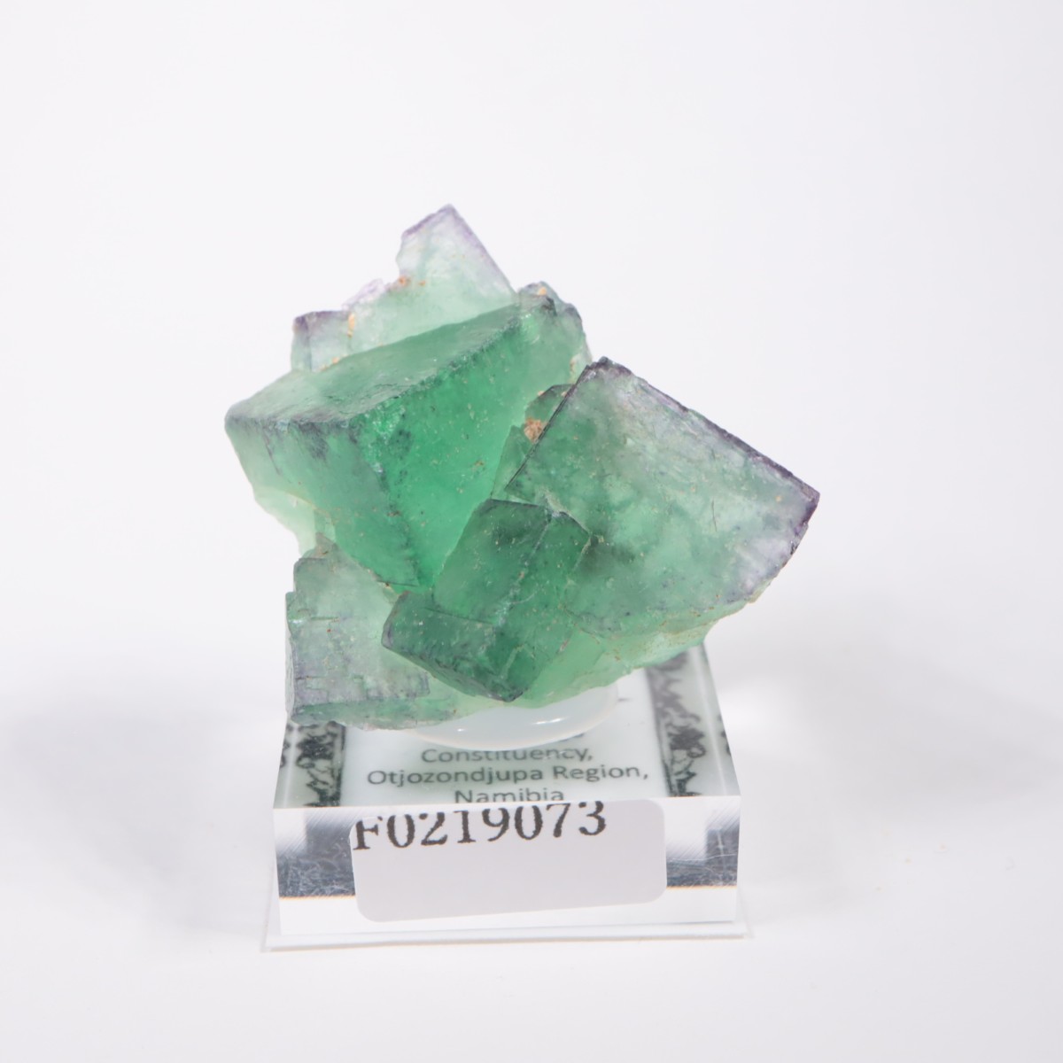 �����륹�ۻ��� �ե����饤��