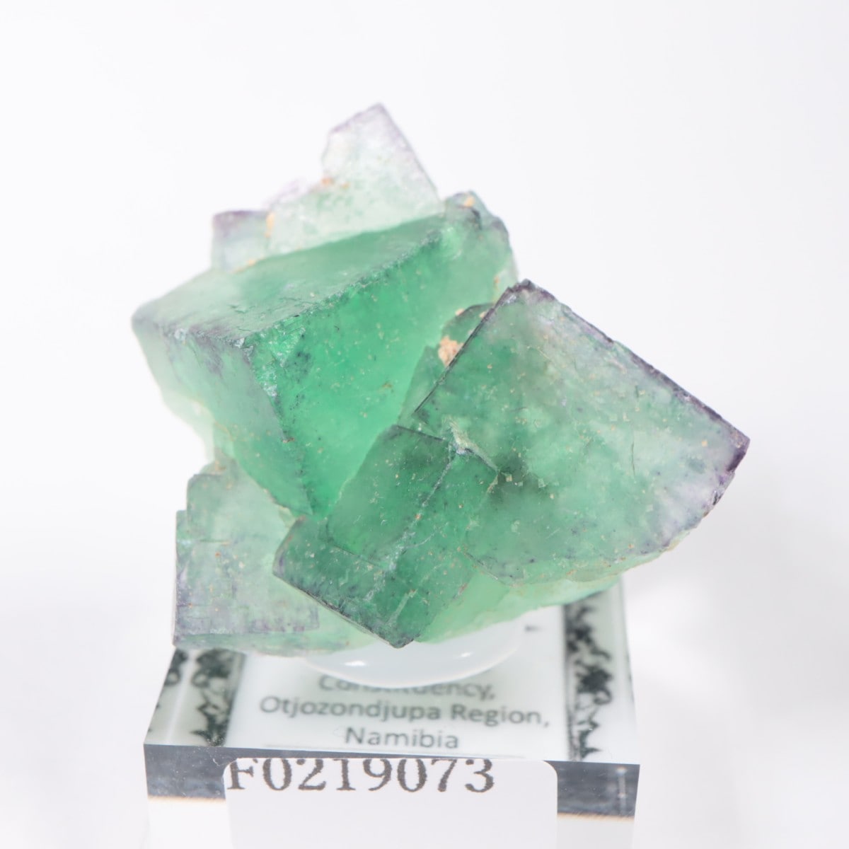 �����륹�ۻ��� �ե����饤��