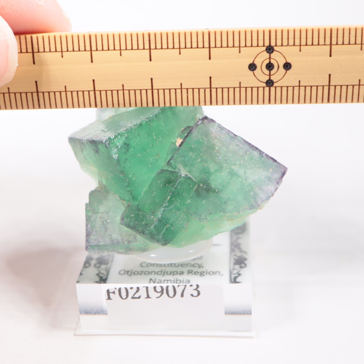 �����륹�ۻ��� �ե����饤��