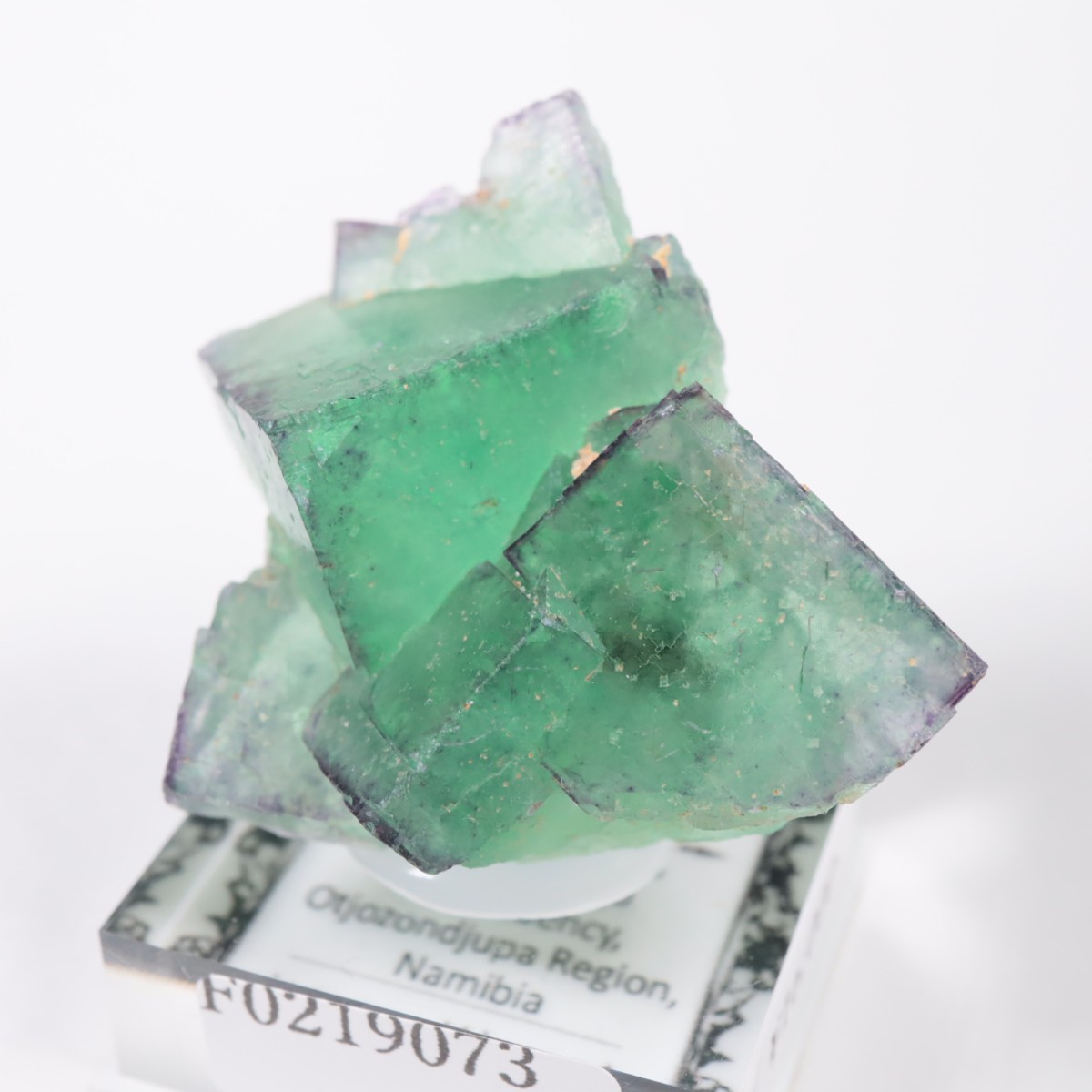 �����륹�ۻ��� �ե����饤��