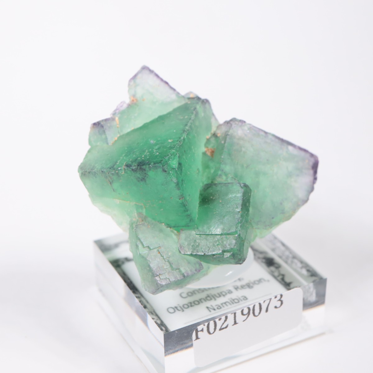 �����륹�ۻ��� �ե����饤��