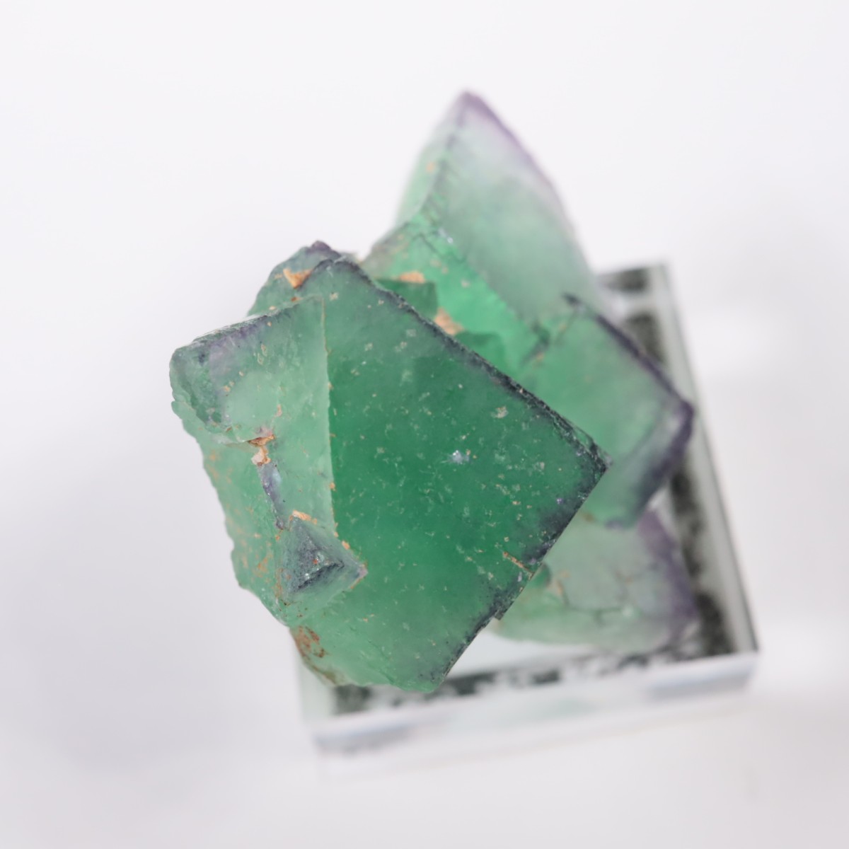 �����륹�ۻ��� �ե����饤��