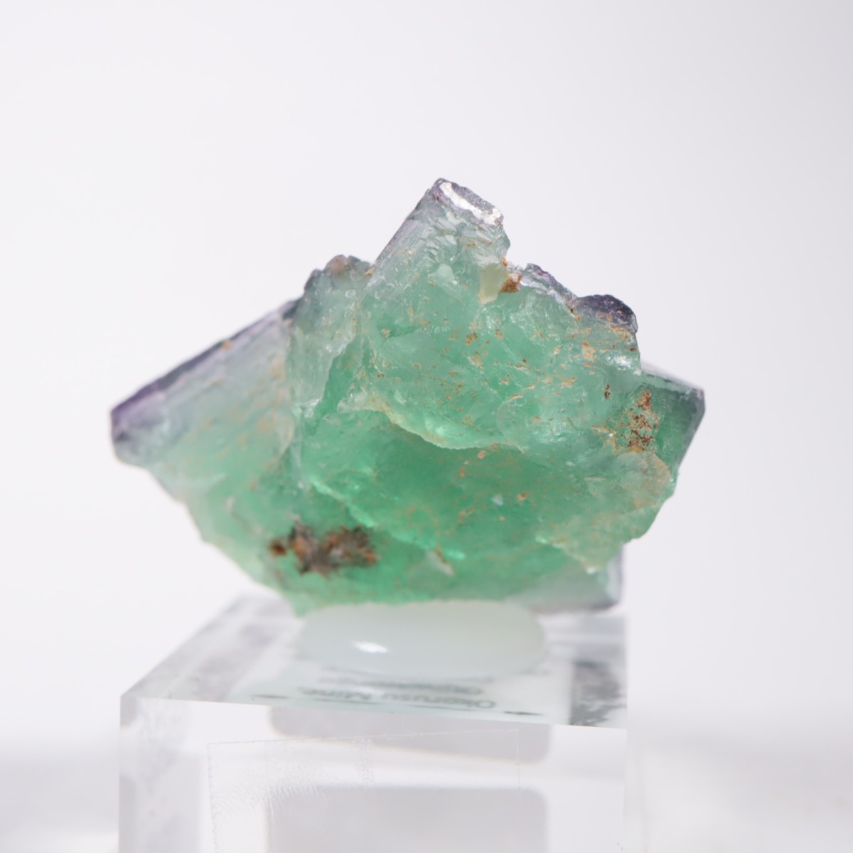 �����륹�ۻ��� �ե����饤��