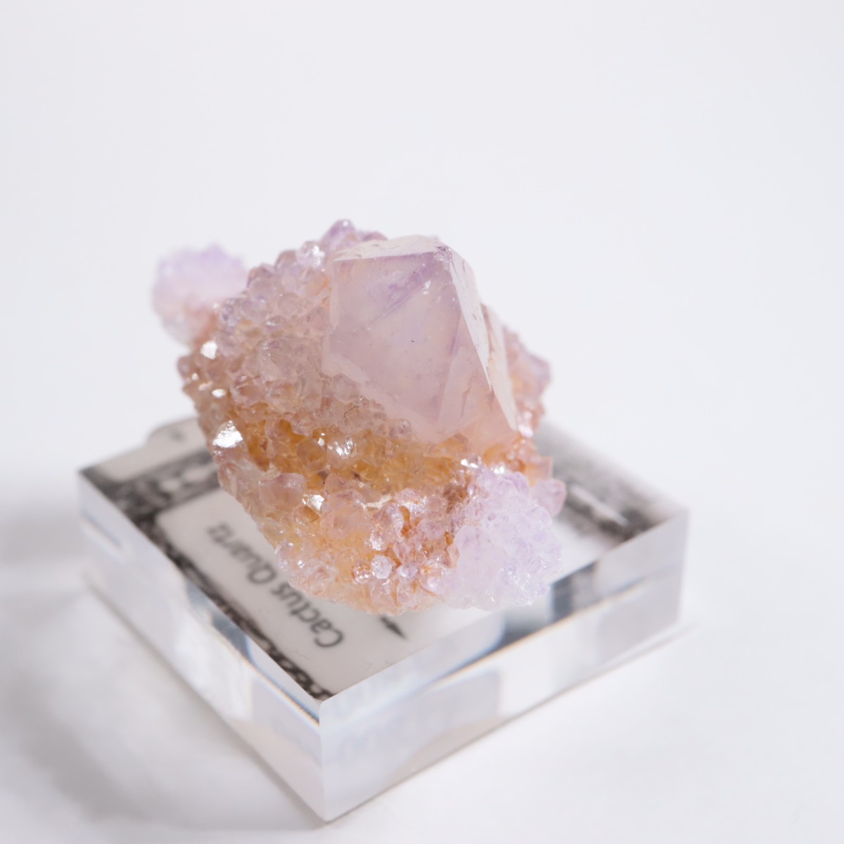 ��եꥫ�� ����������������