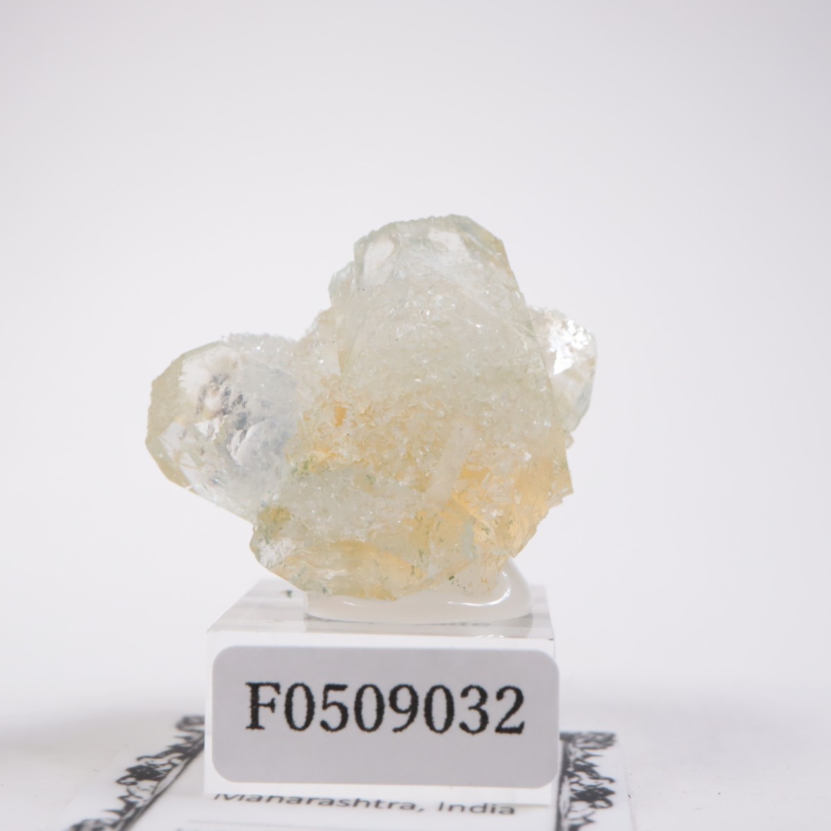 ����ɻ� ���ݥե��饤��