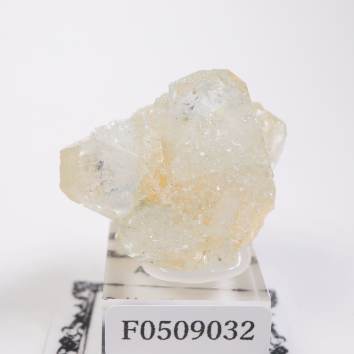 ����ɻ� ���ݥե��饤��