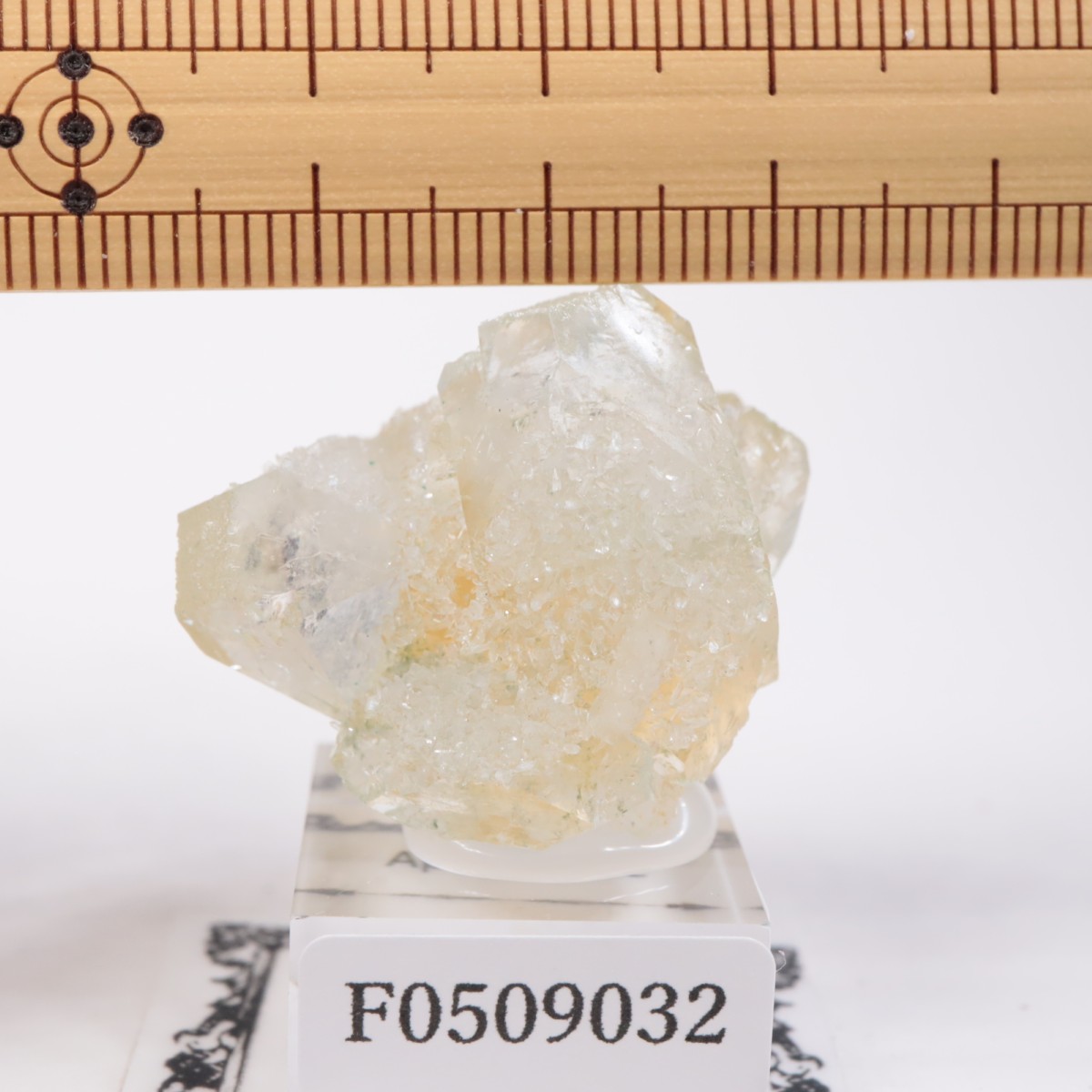 ����ɻ� ���ݥե��饤��