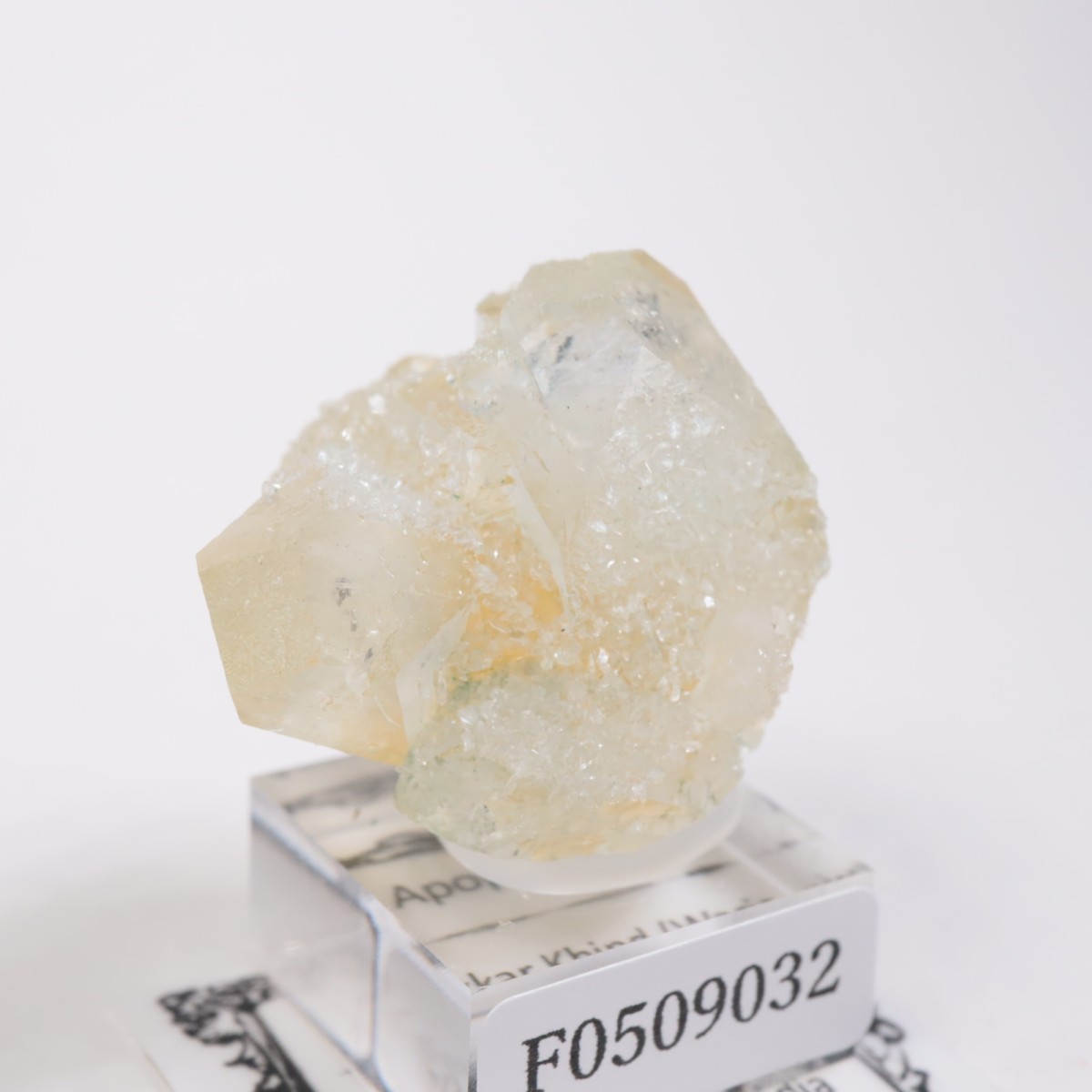 ����ɻ� ���ݥե��饤��