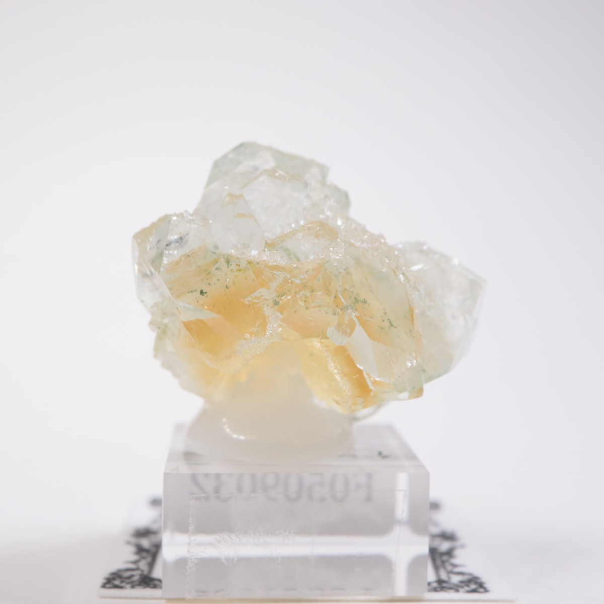 ����ɻ� ���ݥե��饤��