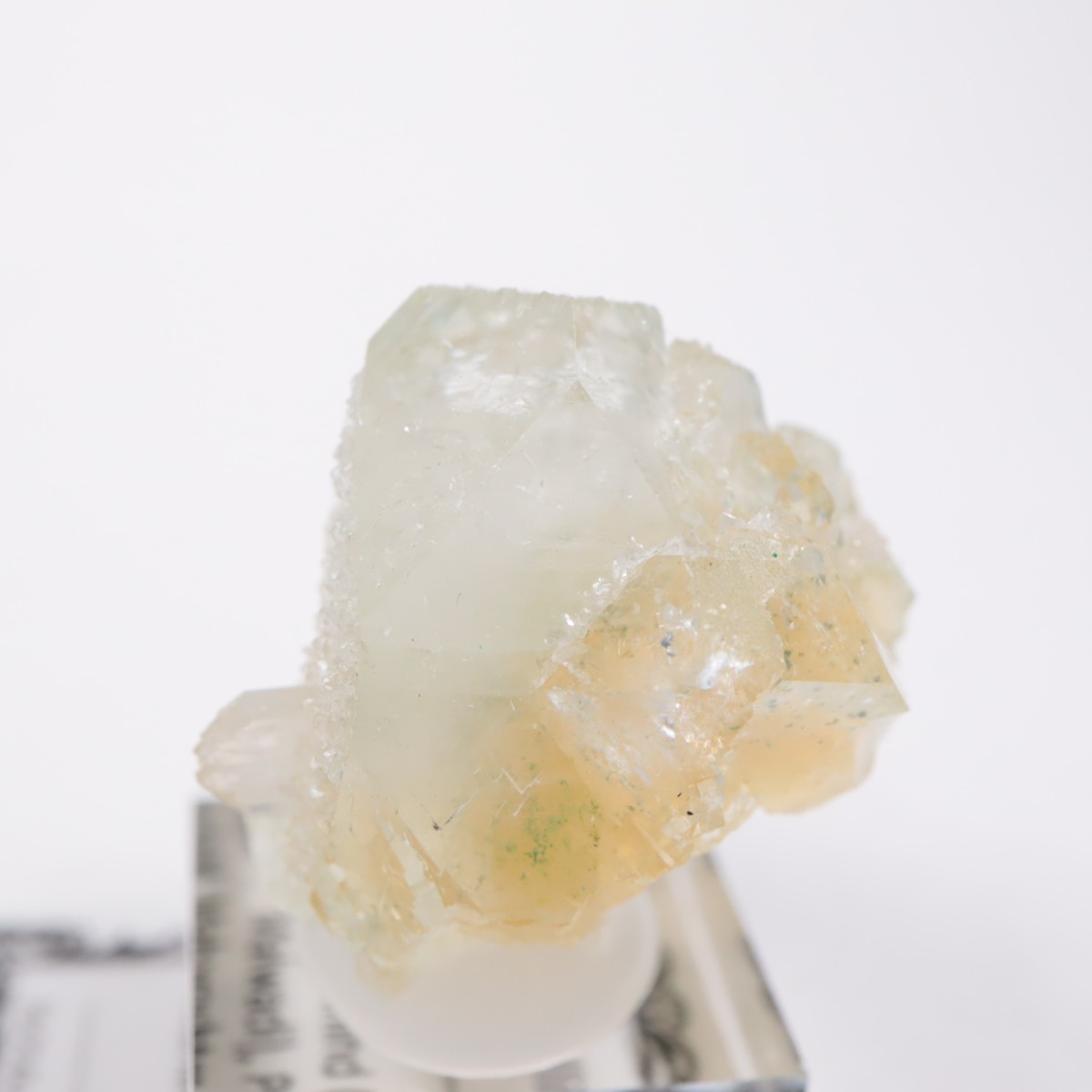 ����ɻ� ���ݥե��饤��