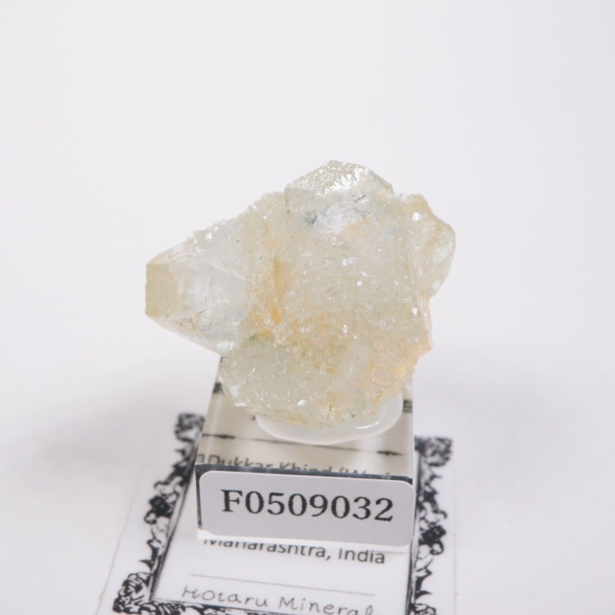 ����ɻ� ���ݥե��饤��