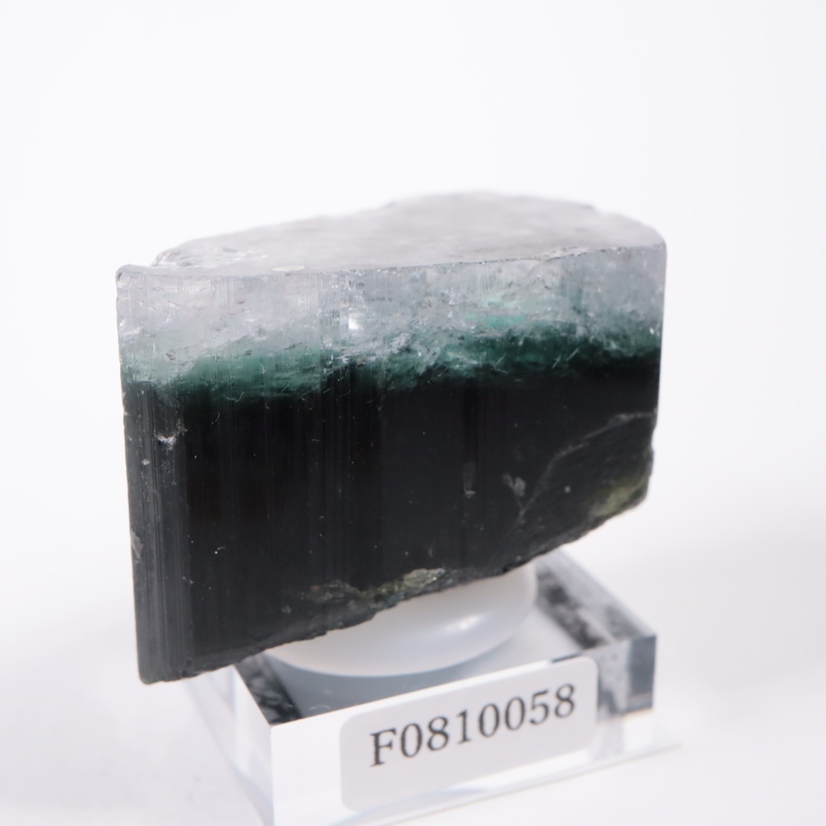 �ѥ������� �ȥ�ޥ��