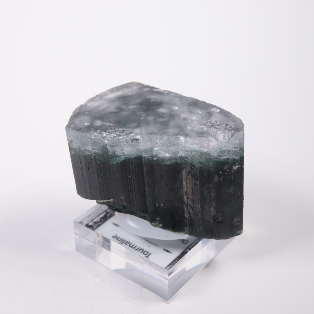 �ѥ������� �ȥ�ޥ��