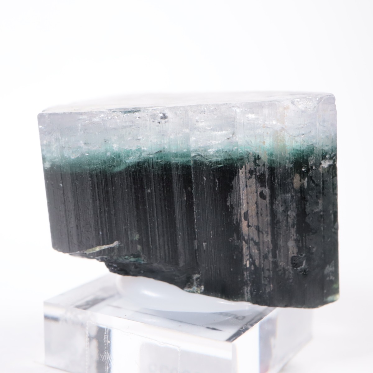 �ѥ������� �ȥ�ޥ��